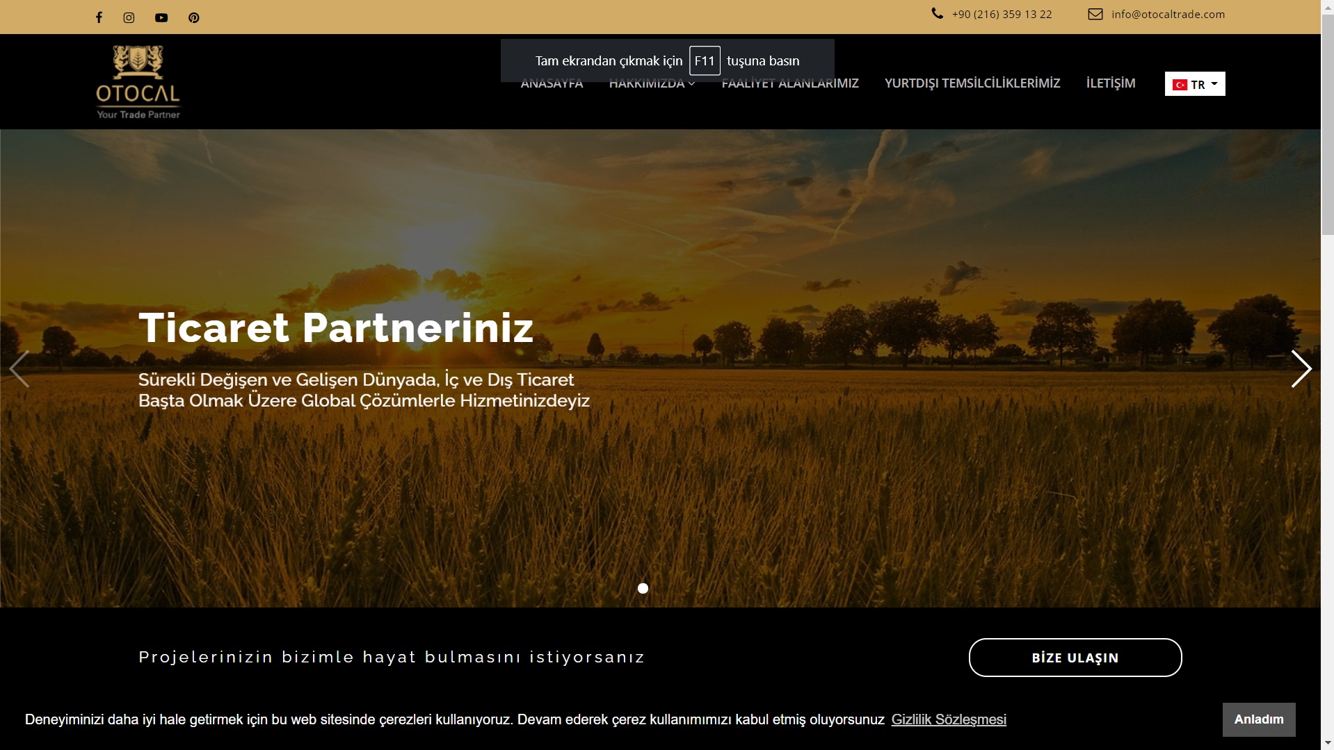 Web sitesi tasarım ve programlama