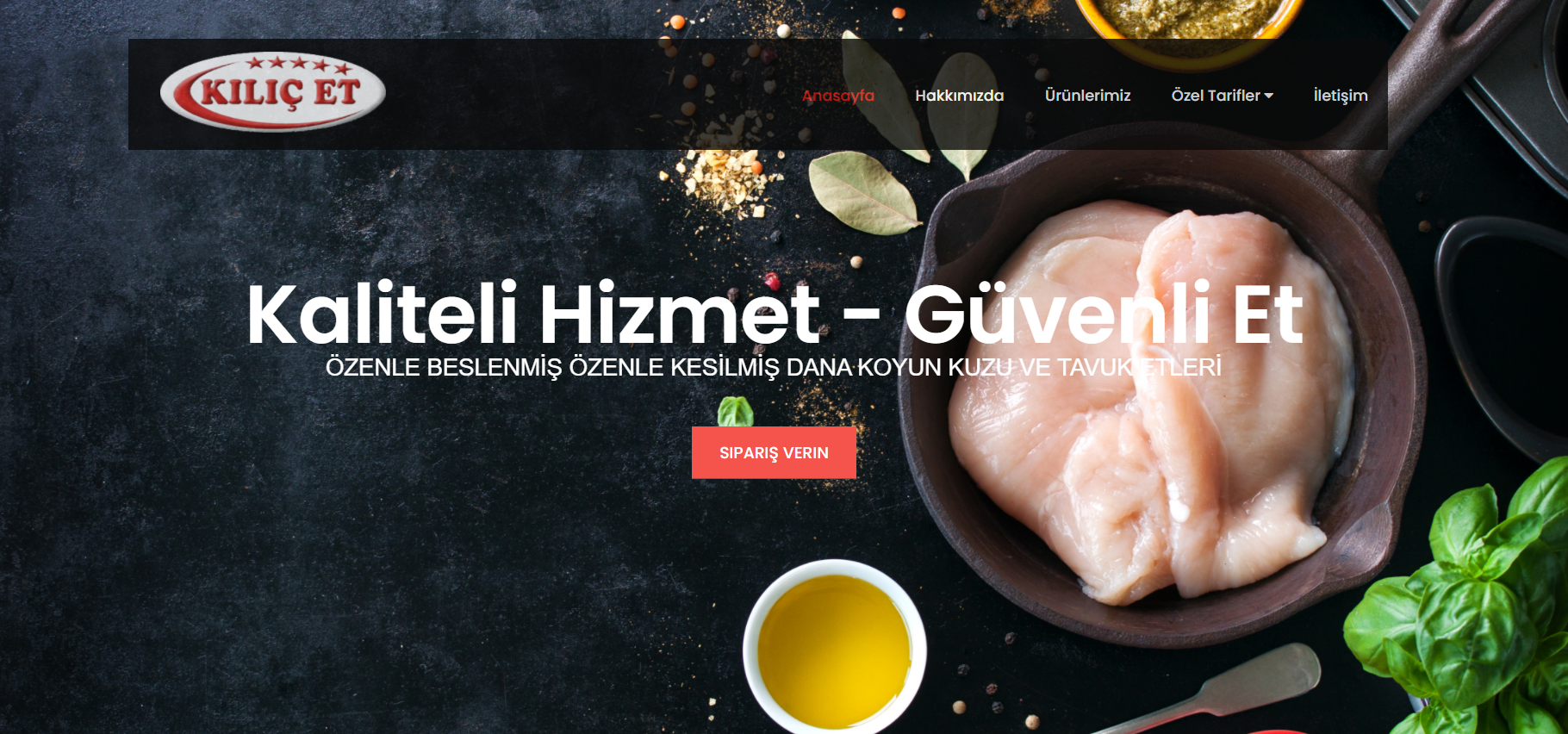 Web sitesi tasarım ve programlama